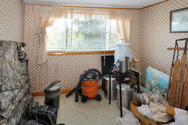 miscellaneous room with carpet, a healthy amount of sunlight, and ornamental molding