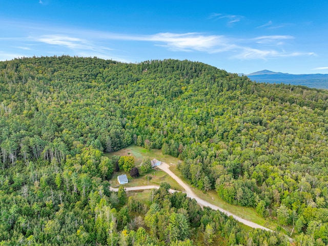 drone / aerial view with a mountain view