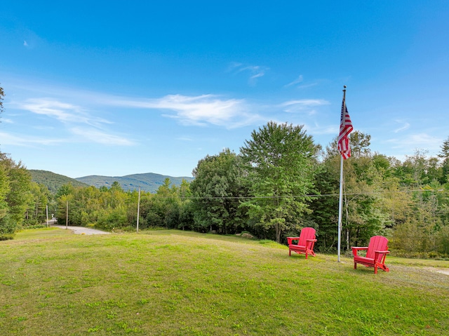 view of yard with a mountain view