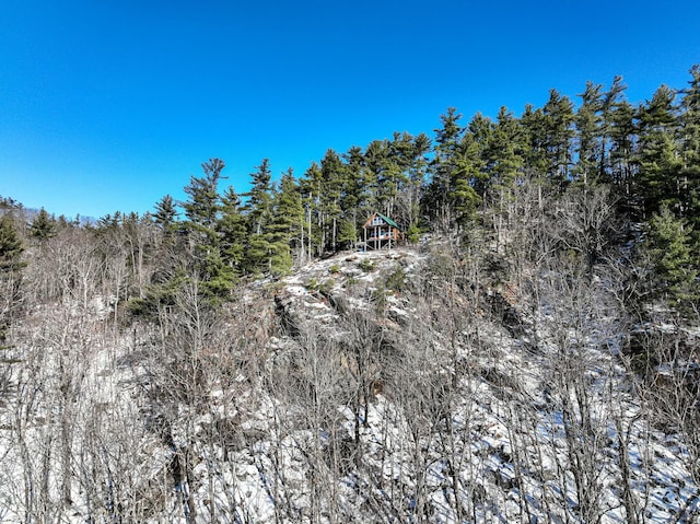 view of local wilderness