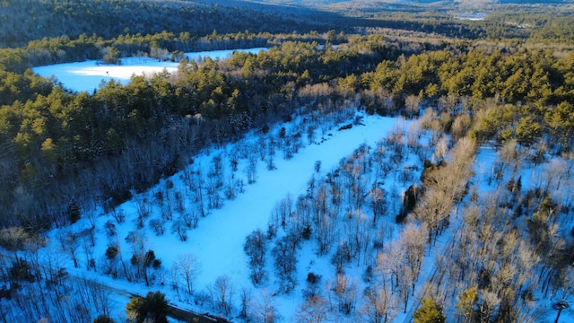 Listing photo 3 for LOT11 Chadbourne Rd, Waterford ME 04088