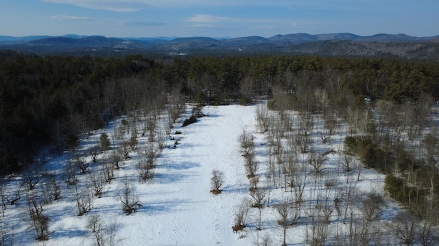 LOT11 Chadbourne Rd, Waterford ME, 04088 land for sale