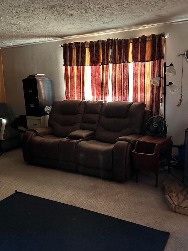 carpeted living room with a textured ceiling