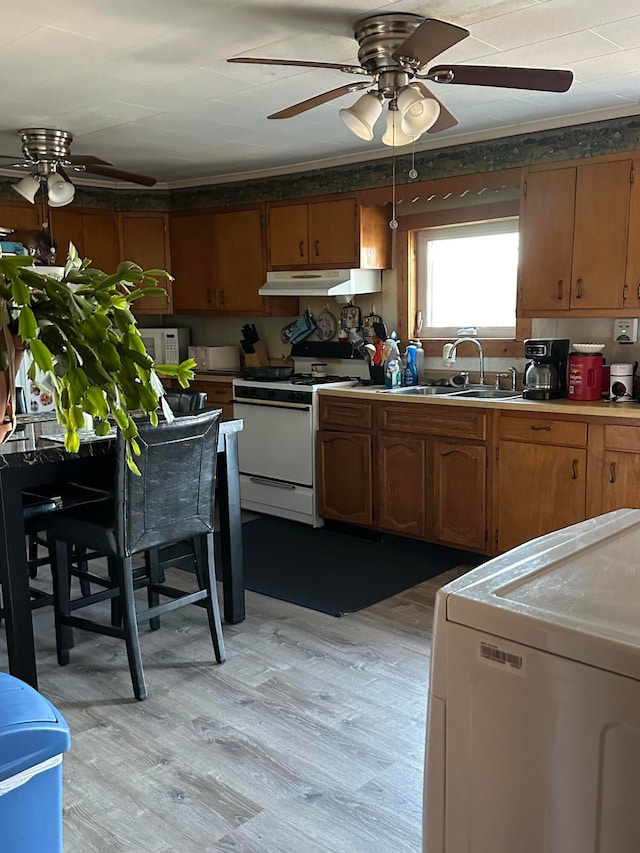 kitchen with light wood-type flooring, white appliances, sink, ceiling fan, and ornamental molding