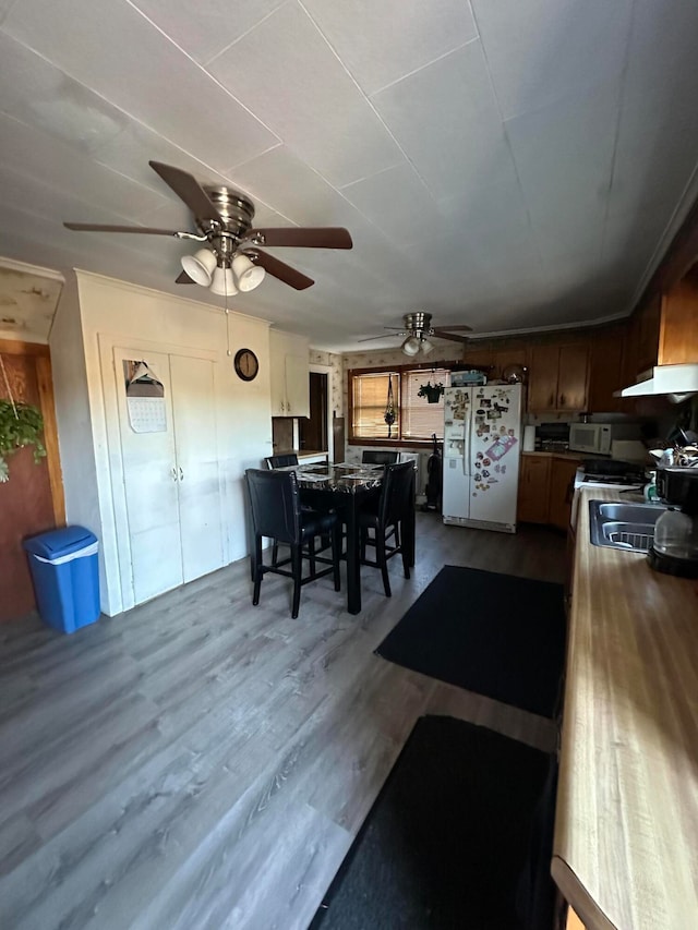 interior space featuring hardwood / wood-style floors, ceiling fan, and sink