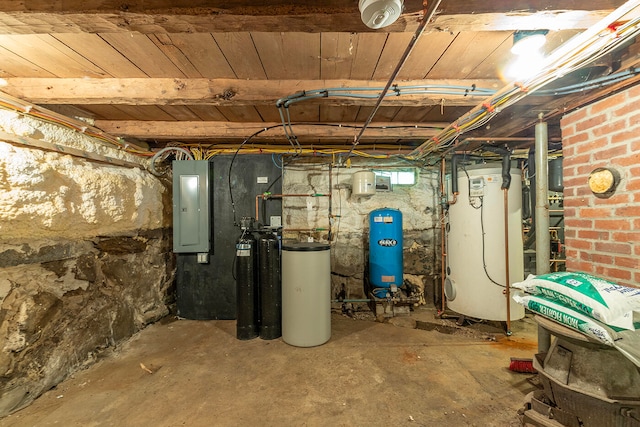 basement featuring electric panel and gas water heater