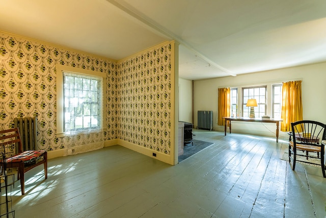 interior space with plenty of natural light, hardwood / wood-style floors, and radiator heating unit