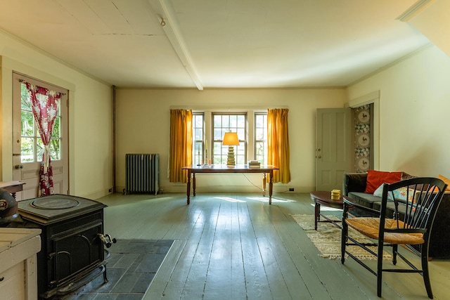 living area featuring radiator heating unit, a healthy amount of sunlight, light hardwood / wood-style flooring, and a wood stove