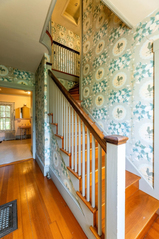 stairs featuring hardwood / wood-style floors and radiator