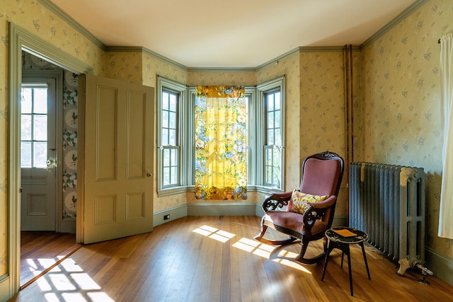 living area featuring light hardwood / wood-style floors, radiator, and crown molding