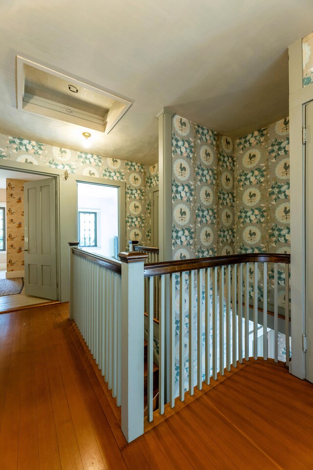 hall with a raised ceiling and hardwood / wood-style flooring