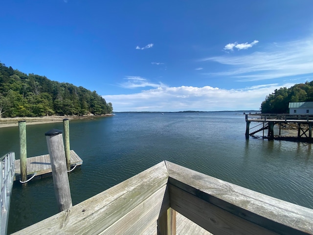 dock area with a water view