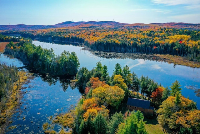 154 Woodman Mill Rd, Lowell, ME 04493 - photo 4