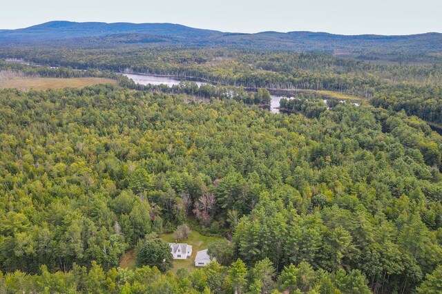 154 Woodman Mill Rd, Lowell, ME 04493 - photo 42