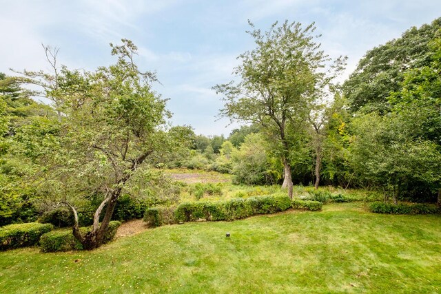 view of yard with a forest view