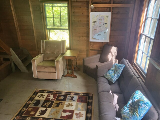 living area with wooden walls