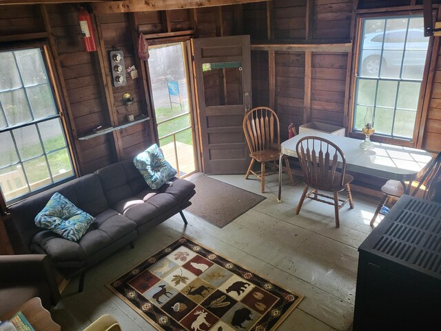 living room with wood walls and plenty of natural light