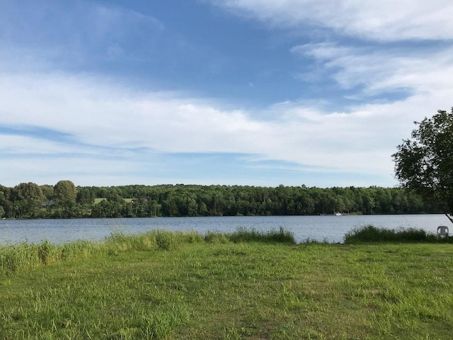 property view of water