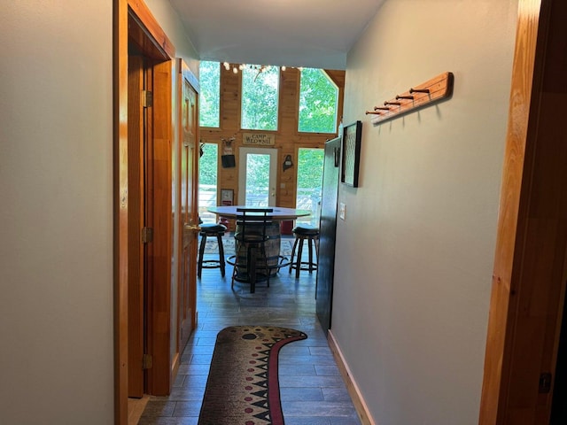 hallway featuring dark hardwood / wood-style floors