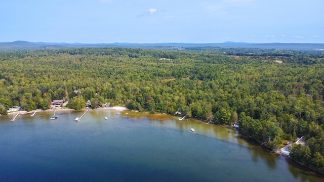 12 Sunset Ln, Otis, ME 04605 - bird's eye view with a wooded view and a water and mountain view