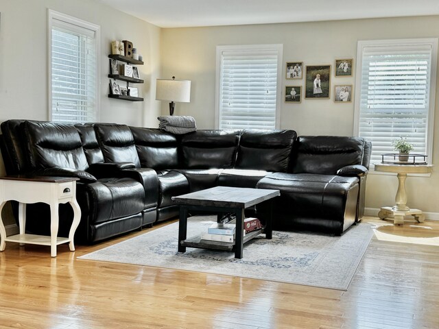 living room featuring light wood-type flooring and a healthy amount of sunlight