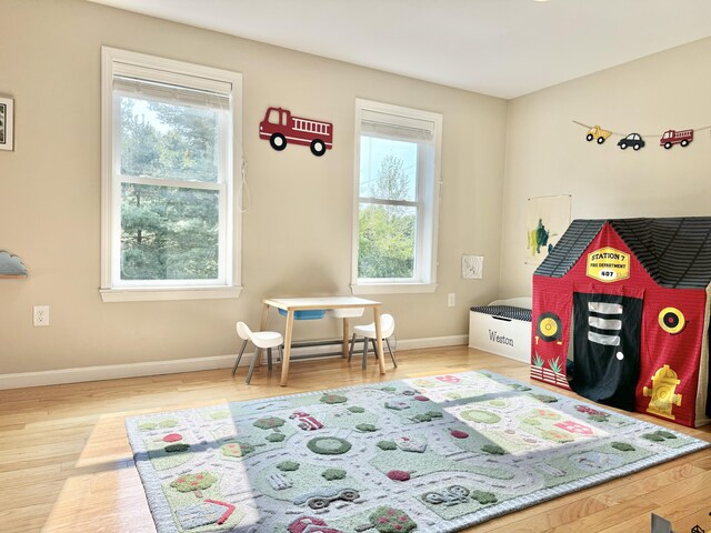 playroom with wood-type flooring and a wealth of natural light