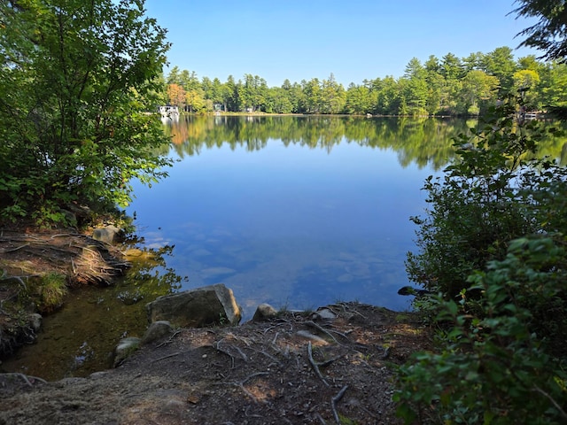 property view of water