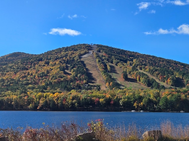 water view featuring a mountain view