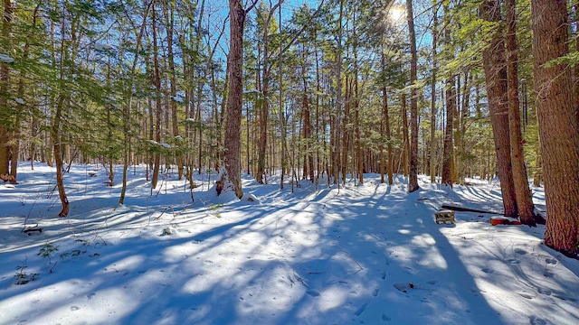 view of yard covered in snow