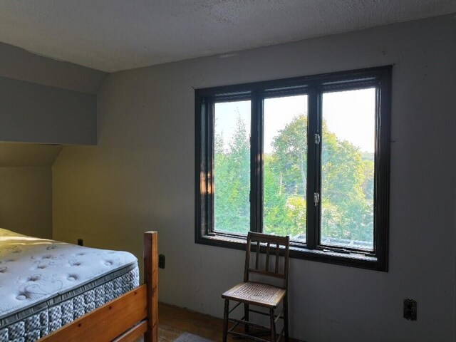 bedroom with a textured ceiling