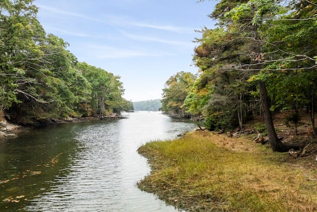 property view of water featuring a forest view