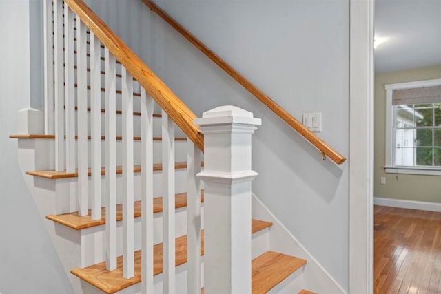 stairway featuring wood-type flooring