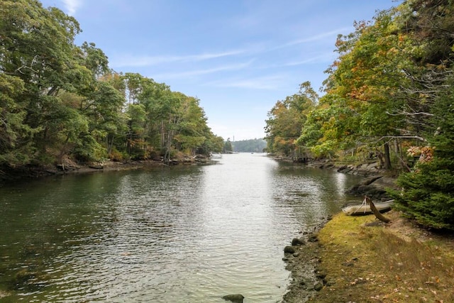 property view of water