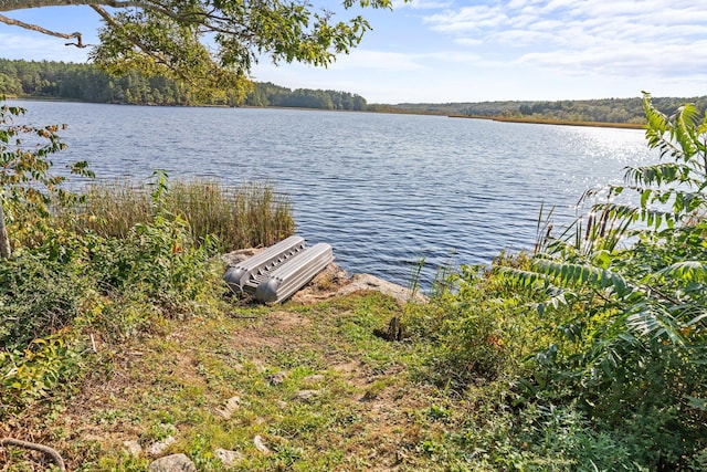 property view of water