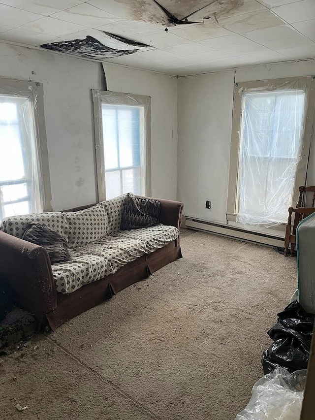 carpeted living room featuring baseboard heating and a healthy amount of sunlight