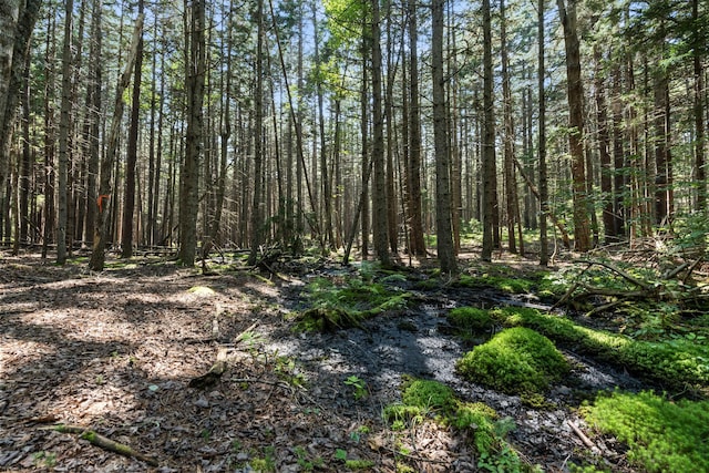 LOT2B Allen Point Rd, Harpswell, ME 04079