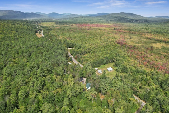 drone / aerial view featuring a mountain view