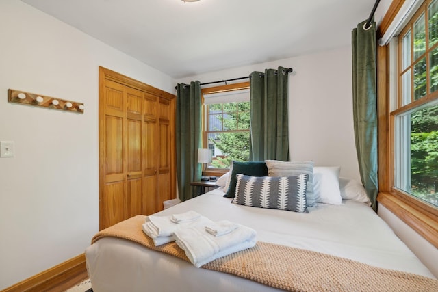 bedroom with a closet, hardwood / wood-style floors, and multiple windows