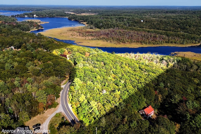 bird's eye view featuring a water view and a view of trees
