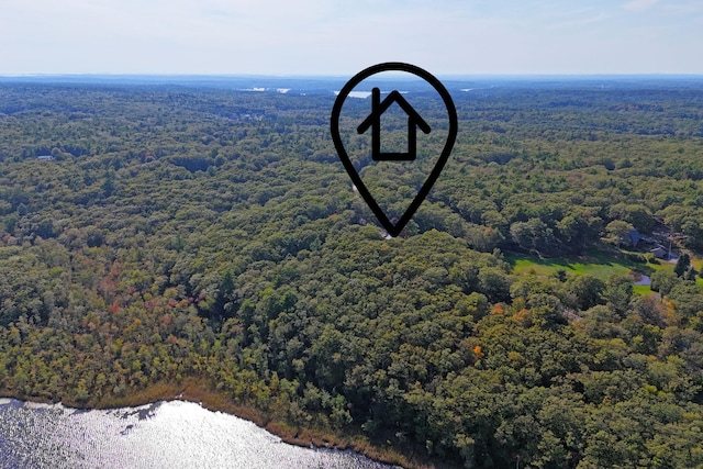 aerial view with a view of trees