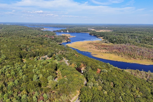 bird's eye view with a water view and a forest view