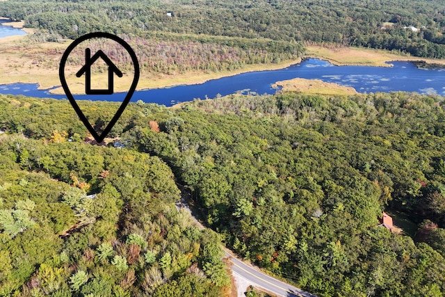 birds eye view of property with a water view and a forest view
