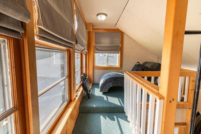 bedroom featuring carpet floors and vaulted ceiling