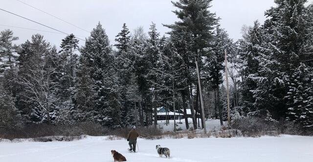 view of snowy yard