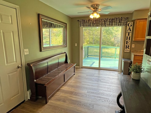 entryway with ceiling fan, light wood-type flooring, and plenty of natural light