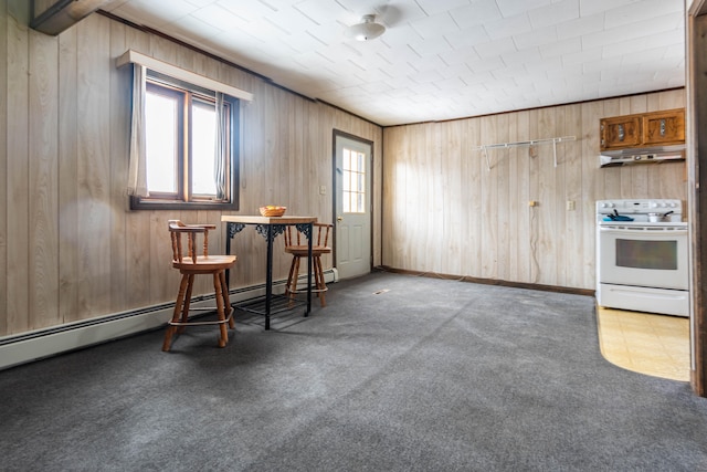 interior space with carpet flooring, wooden walls, and a baseboard heating unit