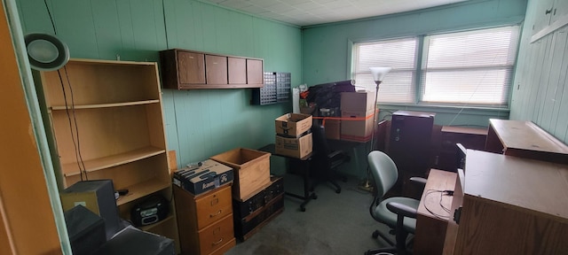 office featuring wood walls