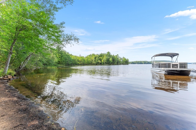 property view of water featuring a boat dock