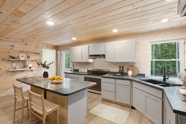 kitchen featuring light wood-type flooring, stainless steel electric range oven, a healthy amount of sunlight, and sink