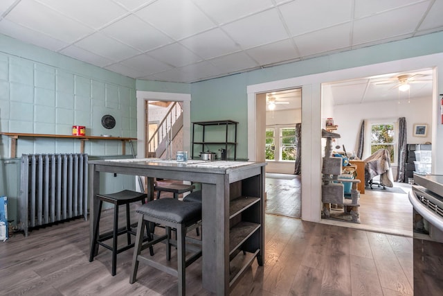 kitchen with ceiling fan, radiator heating unit, wood-type flooring, a drop ceiling, and a kitchen bar